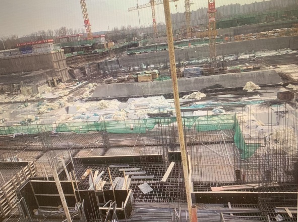 梧桐山语实景图