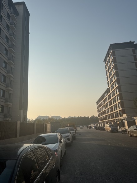 万科东庐实景图
