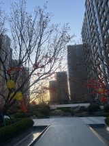 中海·富华里实景图竣工楼栋