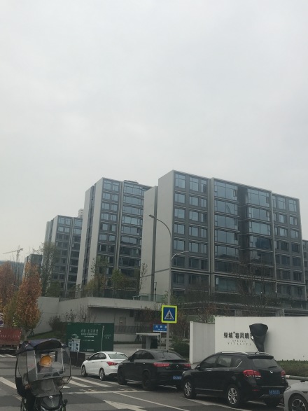 绿城重庆春风晴翠别墅实景图