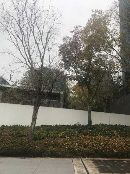 绿城重庆春风晴翠别墅实景图