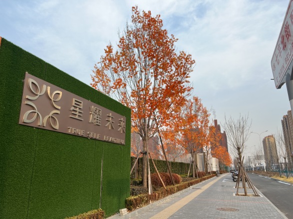 星耀未来实景图