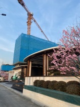 绿城·玉百合实景图在建工地