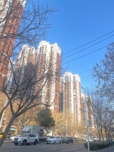 维多利亚时代实景图售楼处