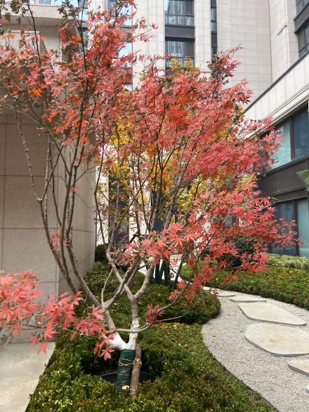 玺源台·承玺实景图