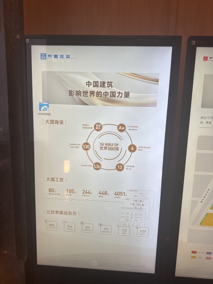 中建·玖玥府实景图