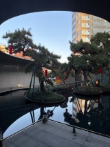 绿城·桂语旗峰实景图售楼处