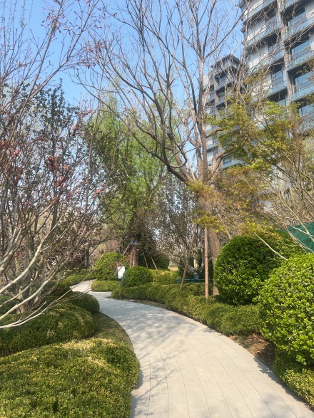 中海丰和叁號院实景图