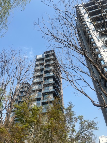 中海丰和叁號院实景图