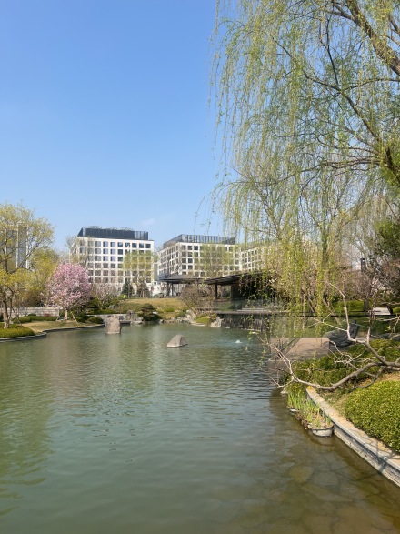 中海丰和叁號院实景图