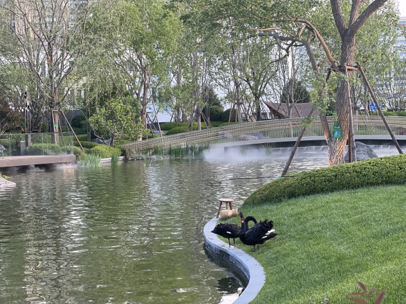 中海丰和叁號院实景图