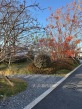 北京隅海岄实景图