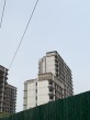 君礼著实景图