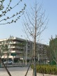 北京隅·东序实景图