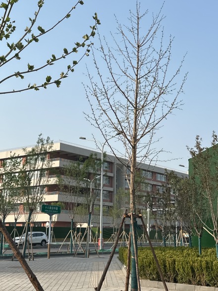 北京隅·东序实景图