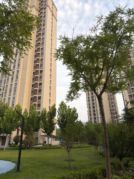新城投·御河园实景图