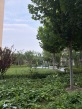 新城投·御河园实景图