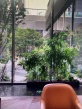 君礼著实景图