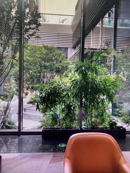 君礼著实景图