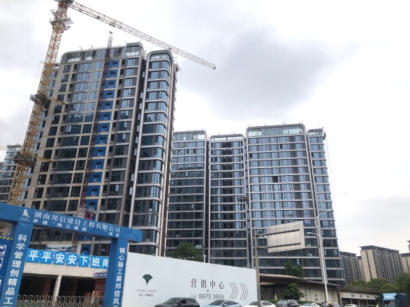 嘉信·洋湖锦玺实景图