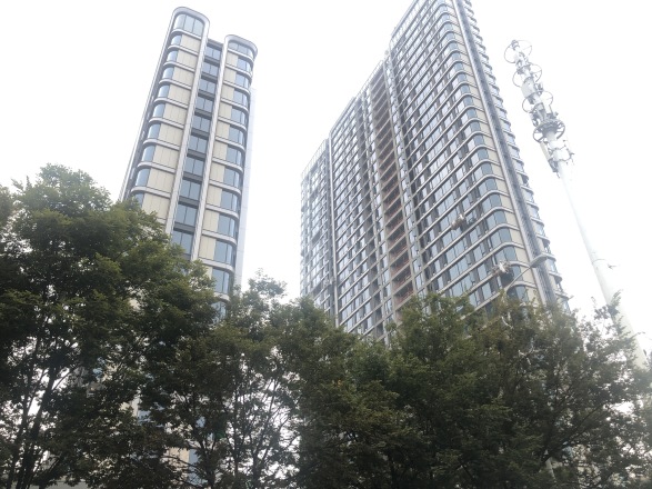 嘉信·洋湖锦玺实景图
