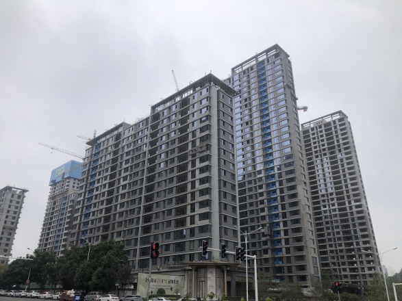 绿城·悦海棠实景图